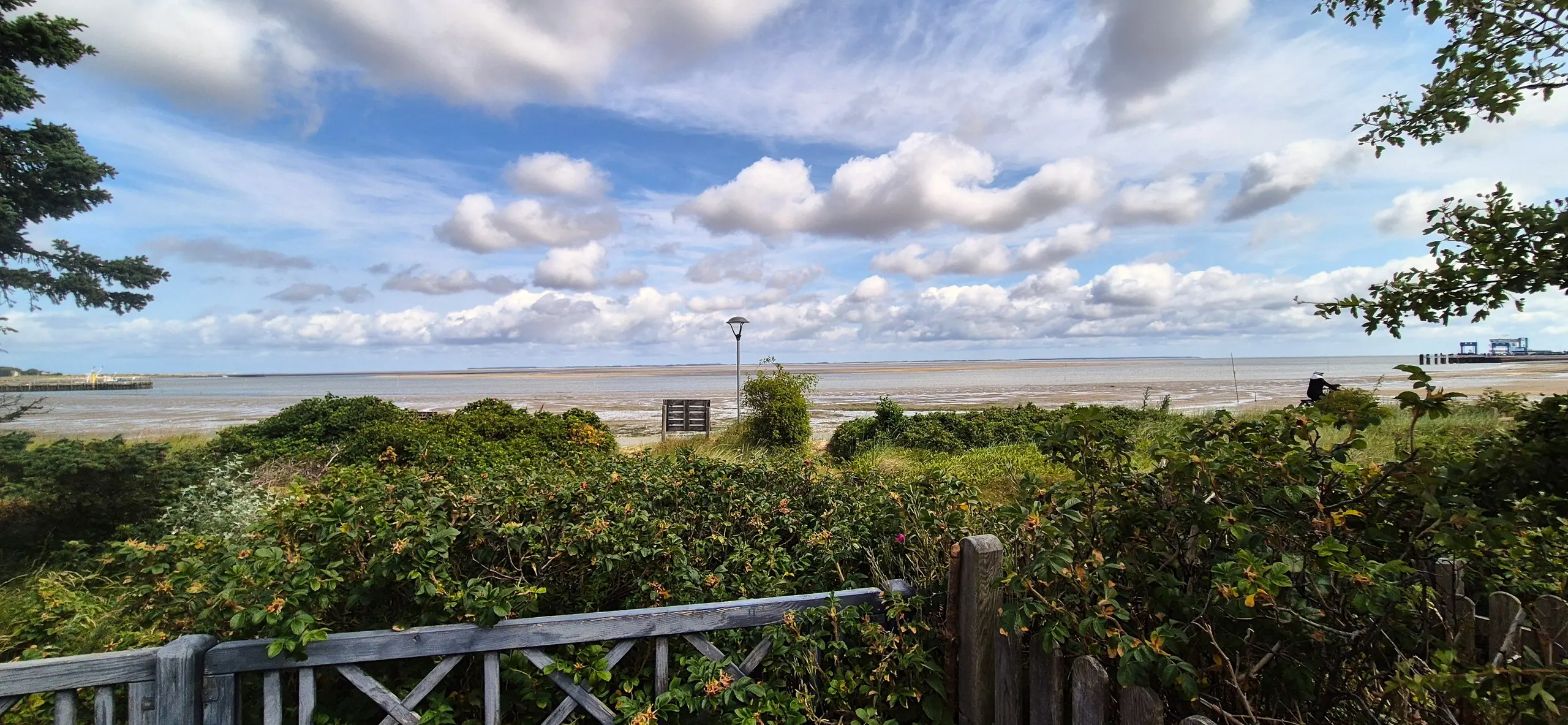 Küstenhaus – Blick vom Gartenzaun über eine Hecke aus wildem Rosenstrauch hinweg auf das Wattenmeer bei Ebbe mit weiten Sandflächen …