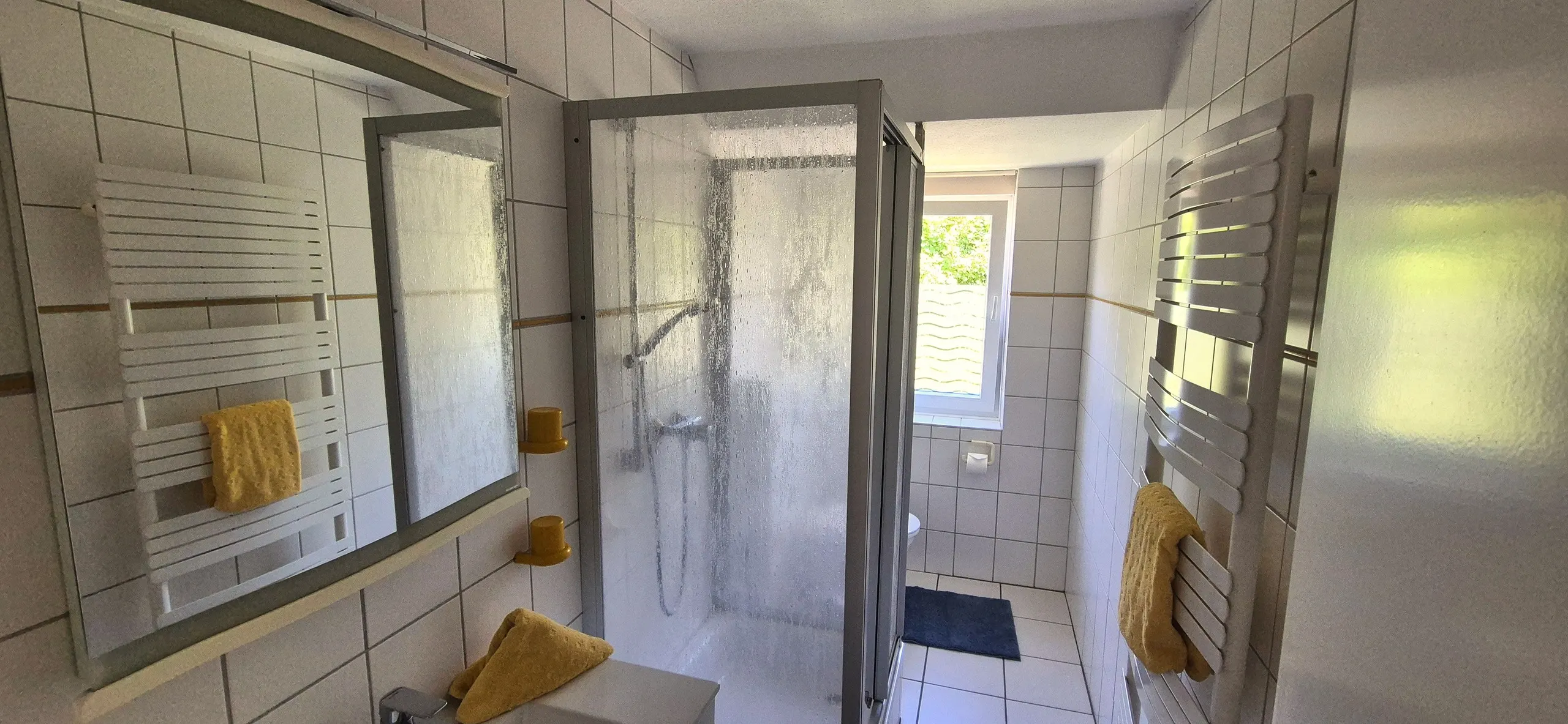 Regenpfeifer – Schmales, gefliestes Badezimmer mit begehbarer Duschkabine aus Glas im Vordergrund, deren Scheibe leicht beschlagen ist.